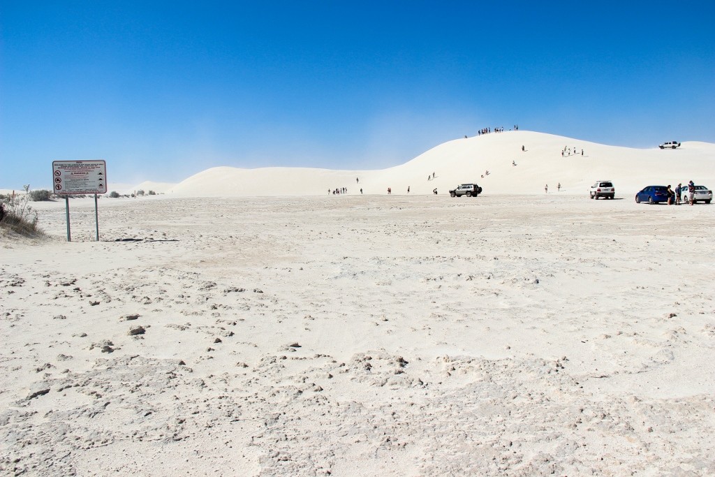 sandbourd lancelin a 10