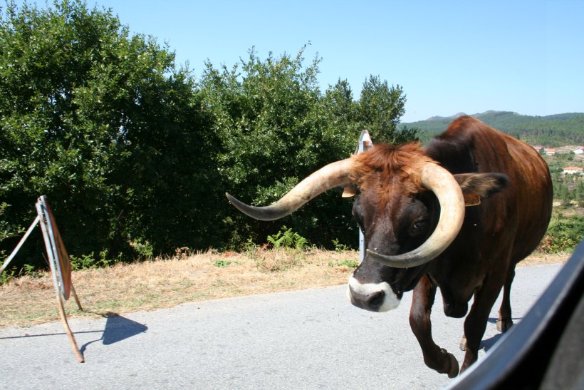 NearMondim01 by HContadas