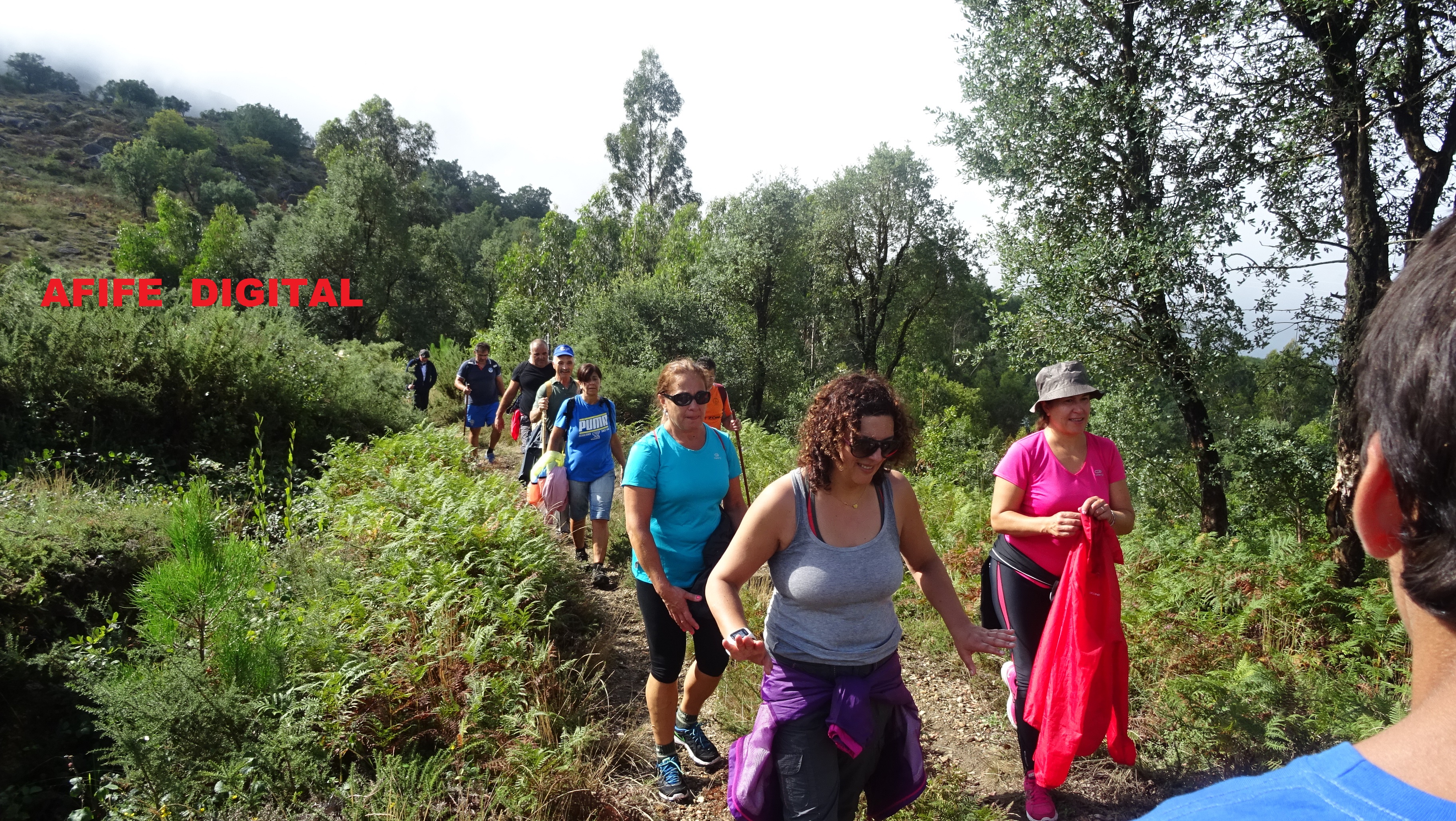 DSC02525.JPG DSC02525.JPG