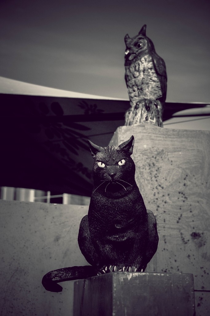 halloween perth a 10 mexican day of the dead