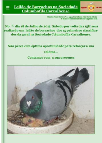 Leilão Carvalhense.jpg