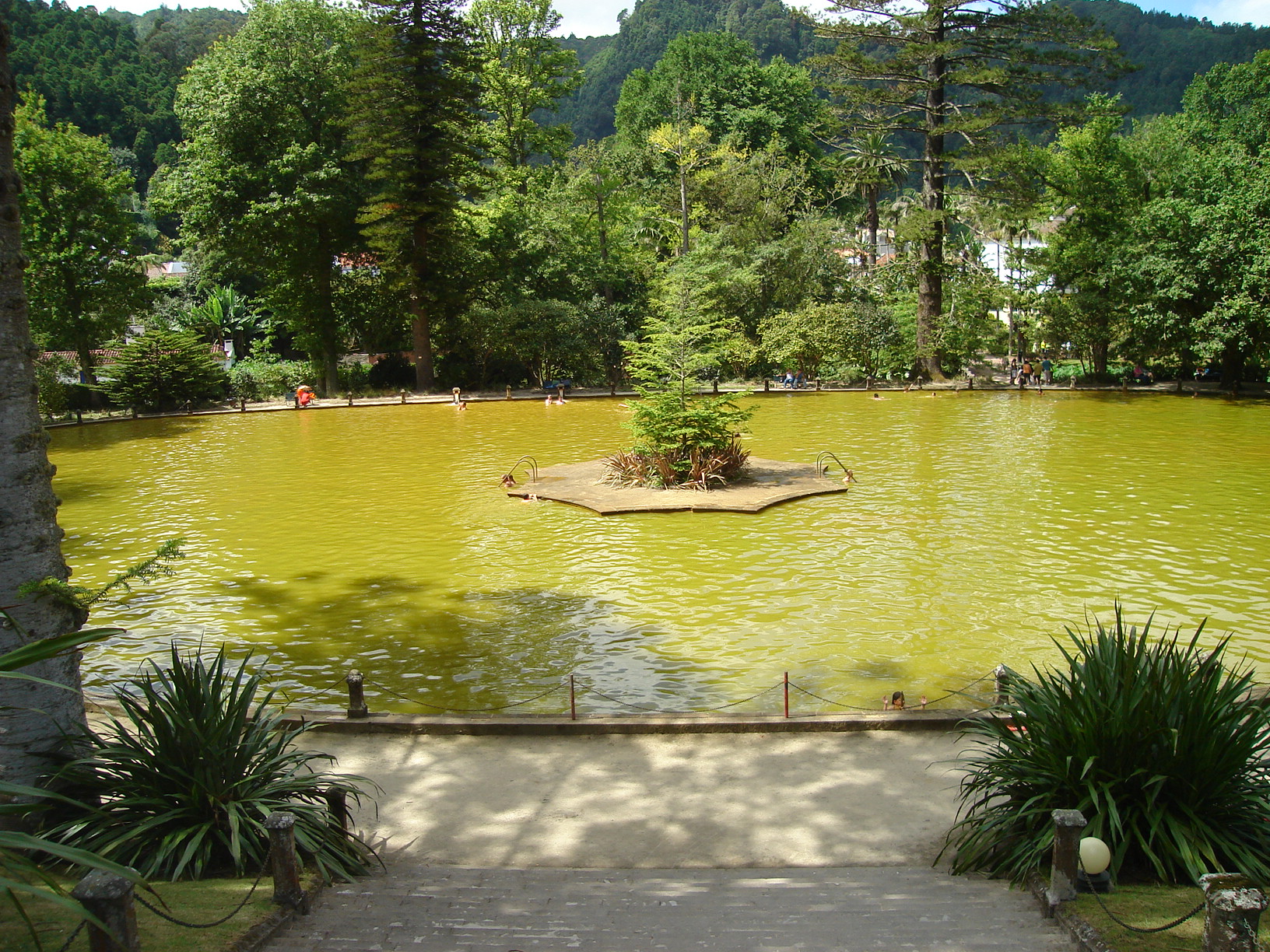 DSC02619.JPG DSC02619.JPG