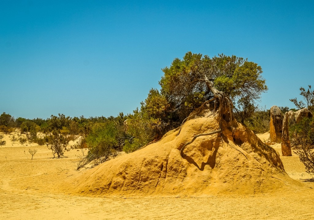 pinnacles desert a 11