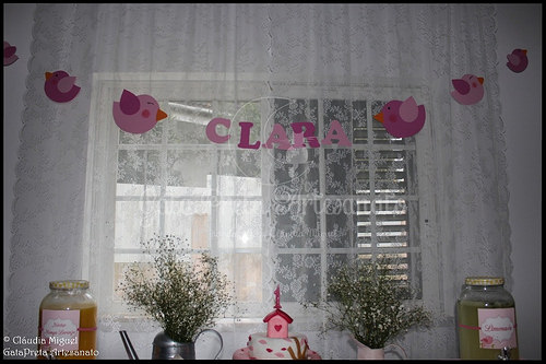 Festa do 1º aniversário da Clarinha - Casinhas e Passarinhos