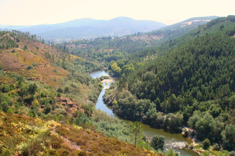 EcoMondim08 by HContadas