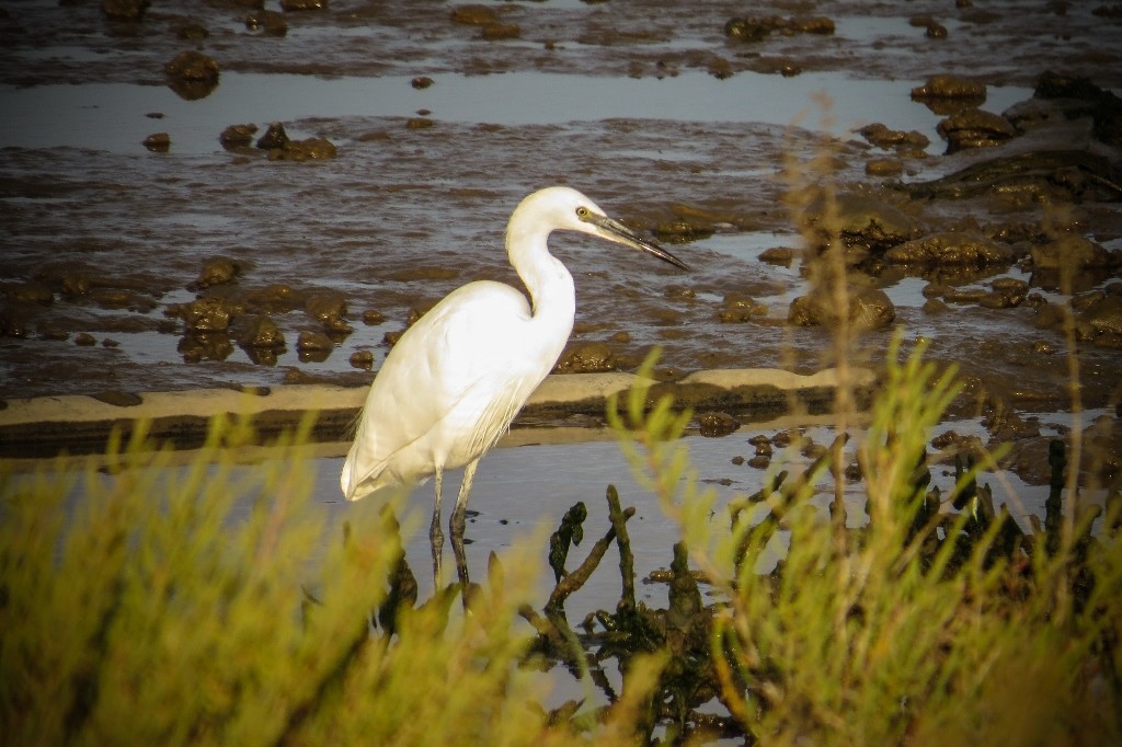 parque tejo-3 (1024x682)