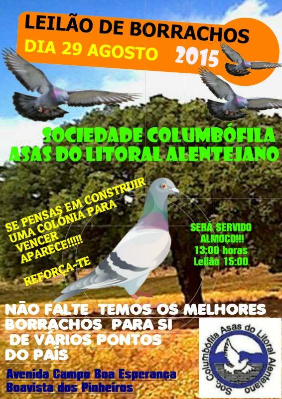 Leilão Asas do Litoral.jpg