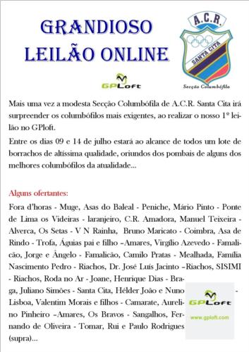 Leilão Santa Cita.jpg