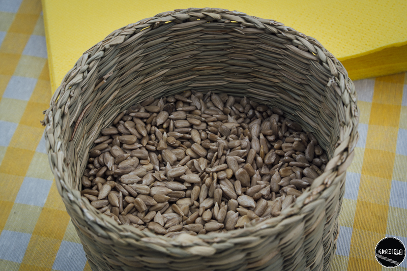 Julho-32.JPG Julho-32.JPG