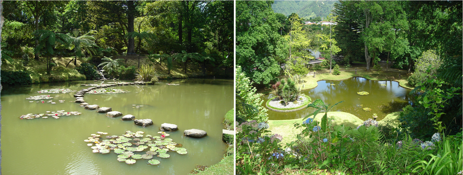 terra nostra 2.PNG terra nostra 2.PNG