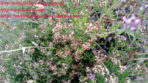 Day of Poetry and Spring.gif