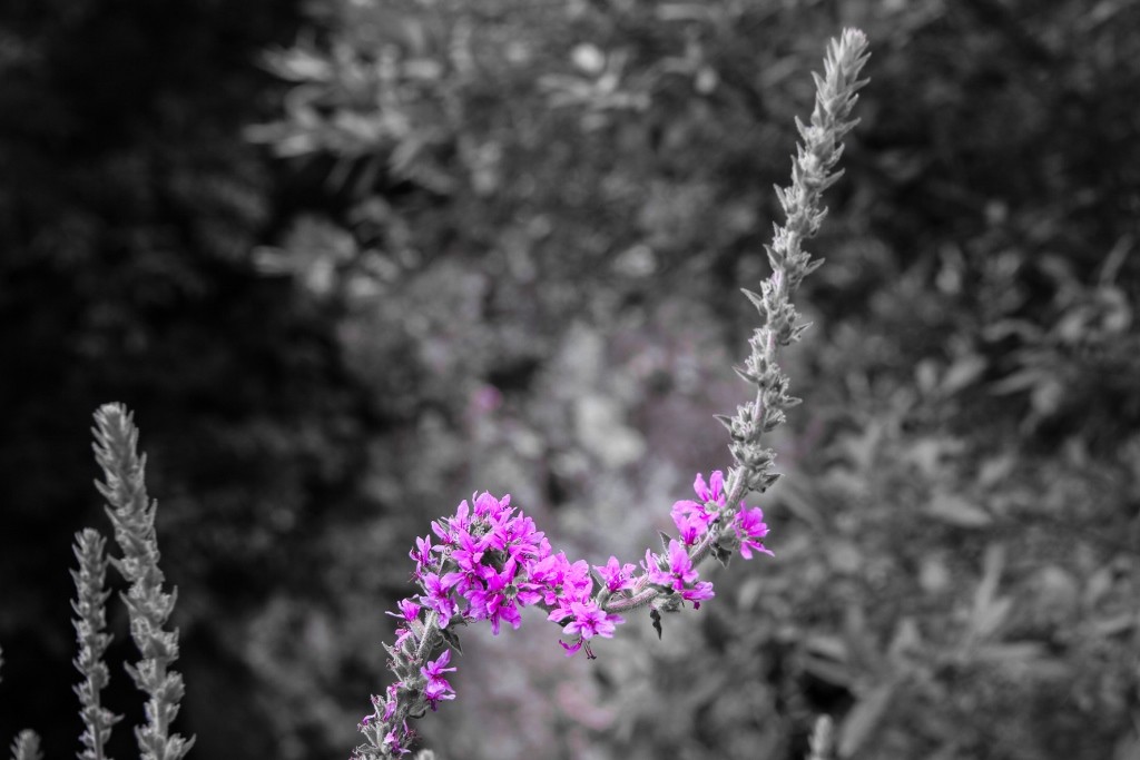 cascatas de mourao b 21