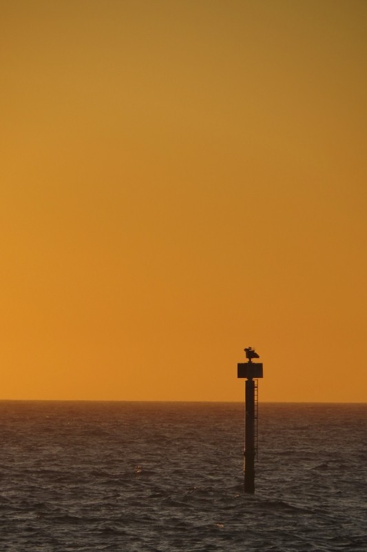 hilarys harbour 3 (533x800)