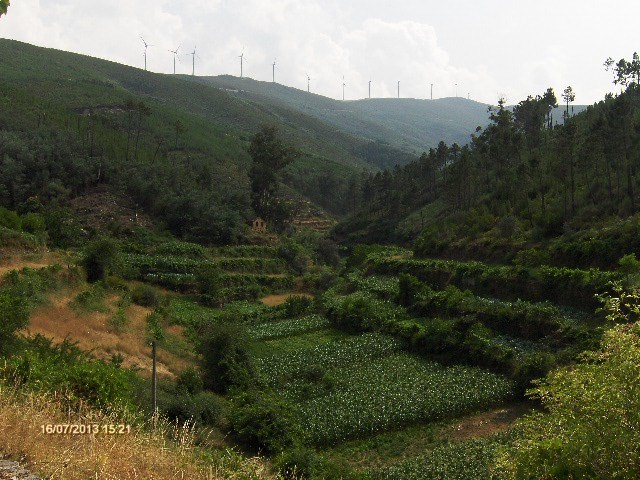 10538062_10204045272027718_5190909826717857941_n[1