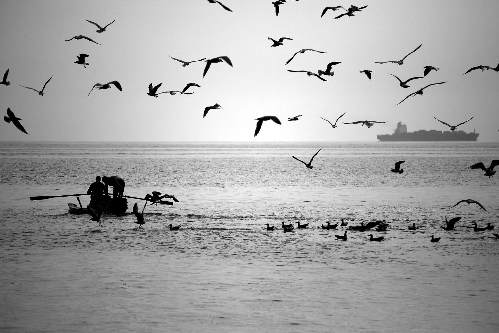 08557_HD.jpg 08557_HD.jpg