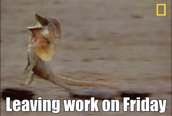 Leaving work of Friday.gif