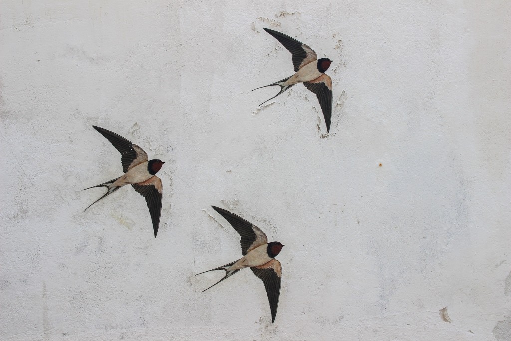 andorinhas_alfama 3
