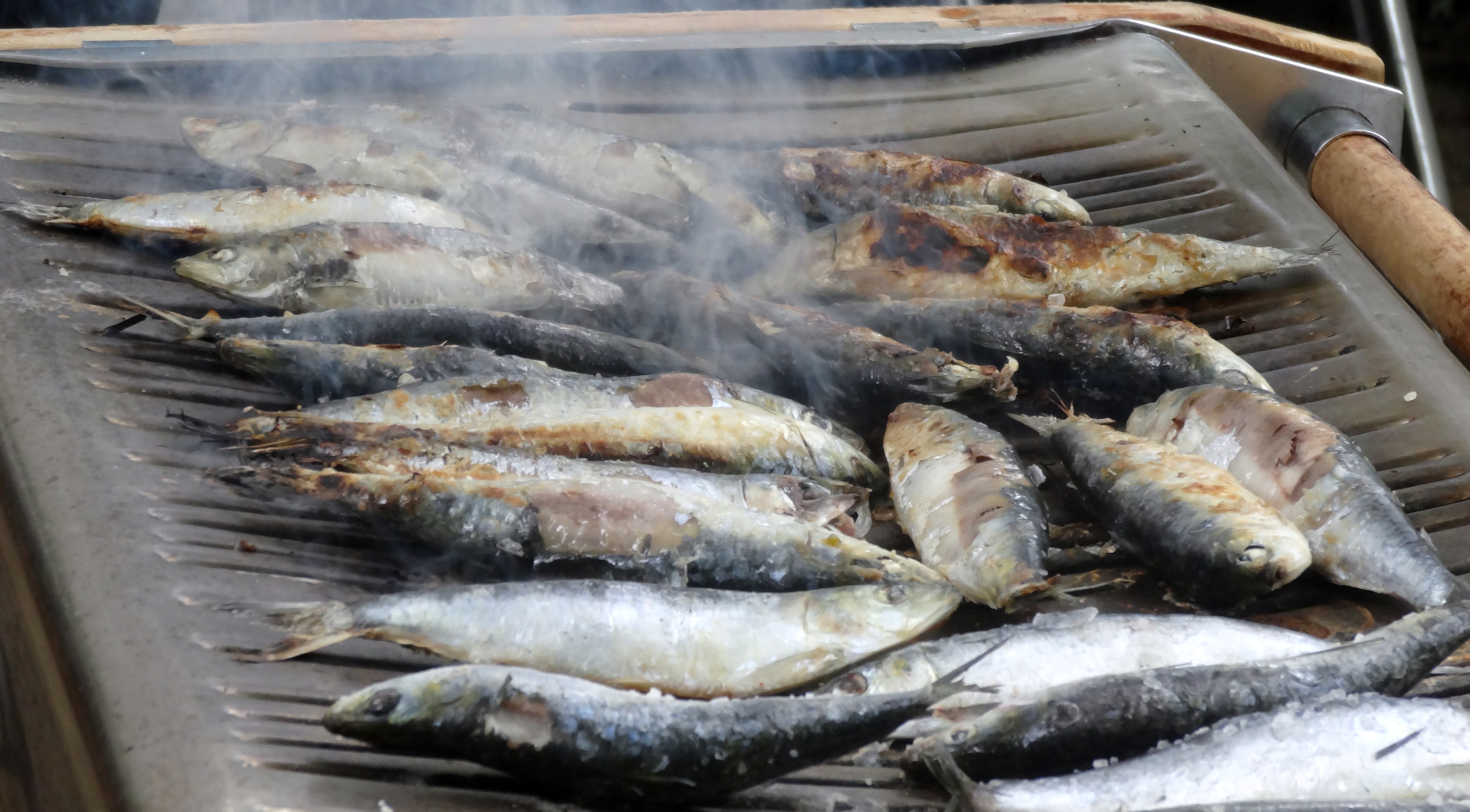 sardinhas.JPG sardinhas.JPG