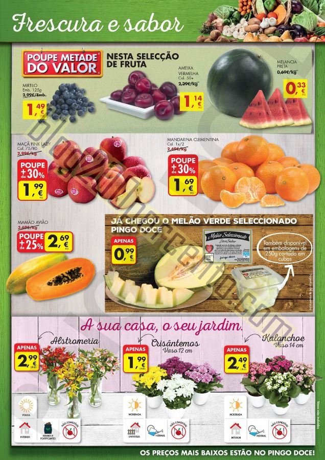 Antevisão folheto PINGO DOCE Promoções de 14 a 