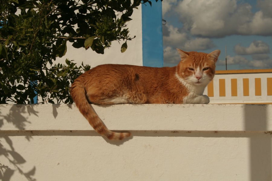 Algarve08 by HContadas.jpg