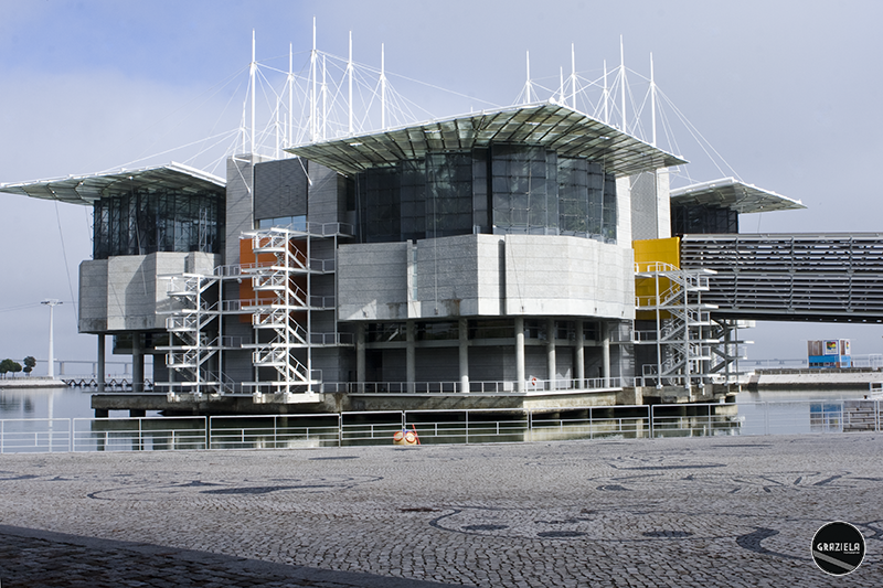 _MG_6839aa.png _MG_6839aa.png