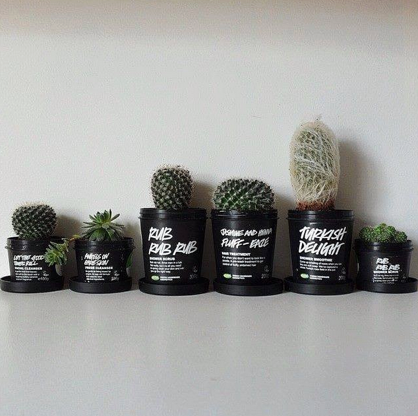 11825749_1197009576992493_2377495490579498363_n.pn