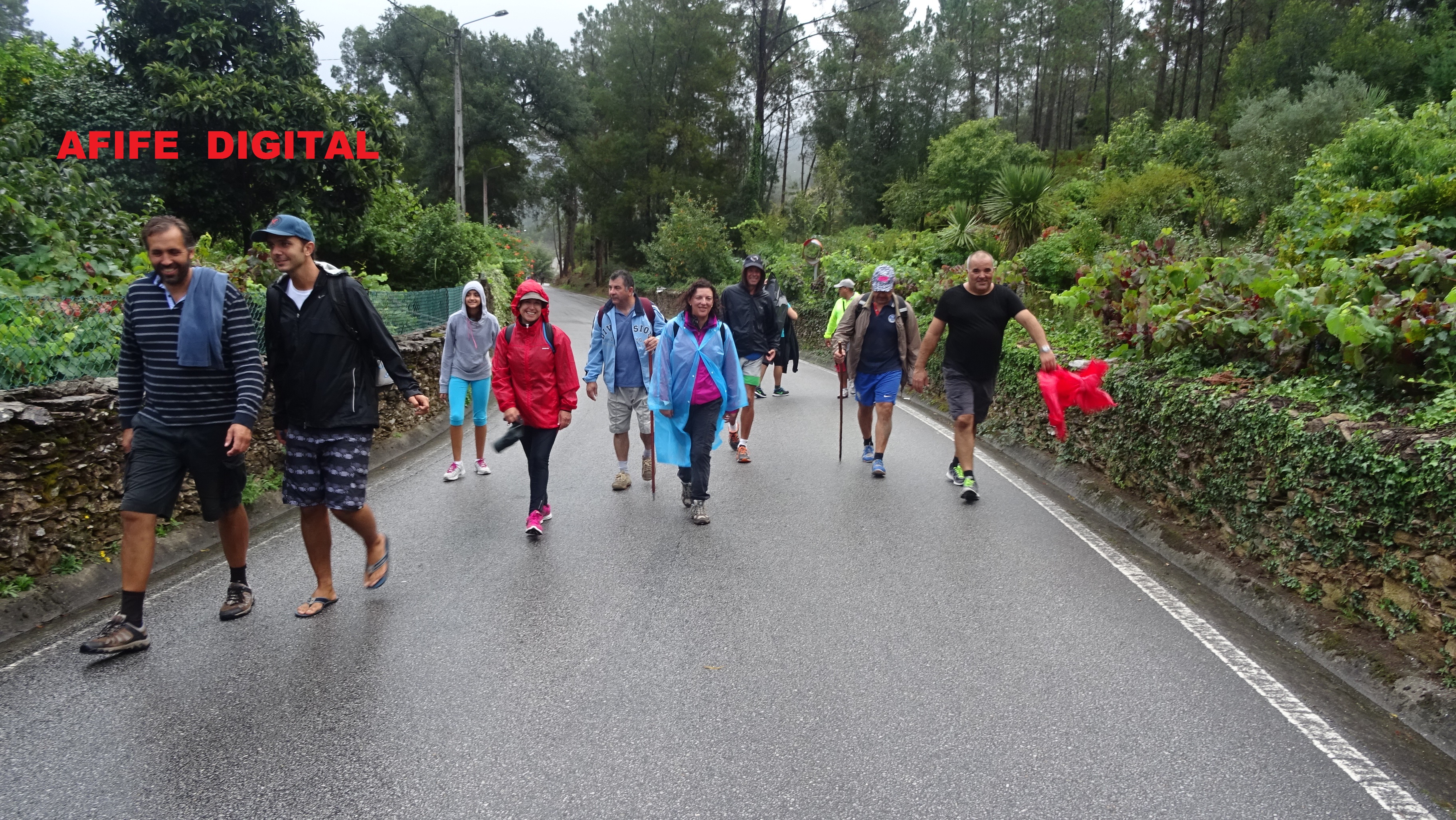 DSC02478.JPG DSC02478.JPG