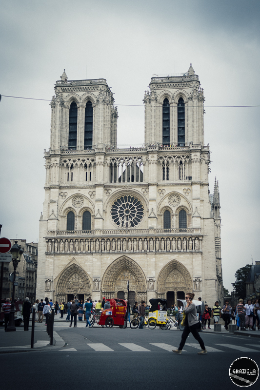 _SAM5042-53.JPG _SAM5042-53.JPG