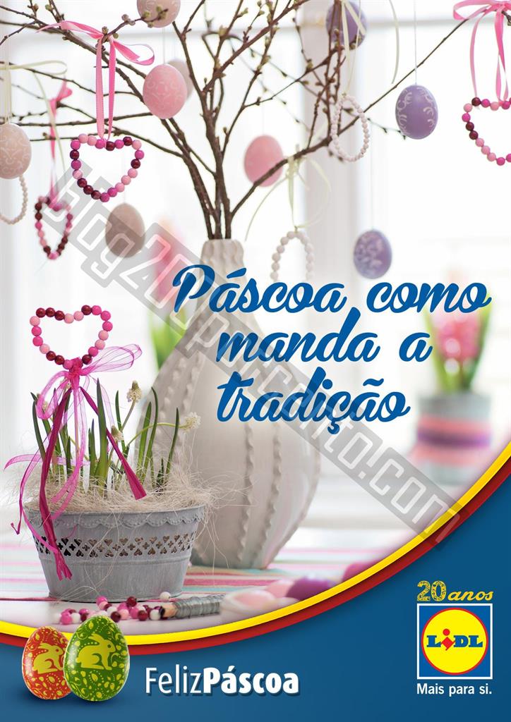 eBookPscoaLidl2015-page-001.jpg