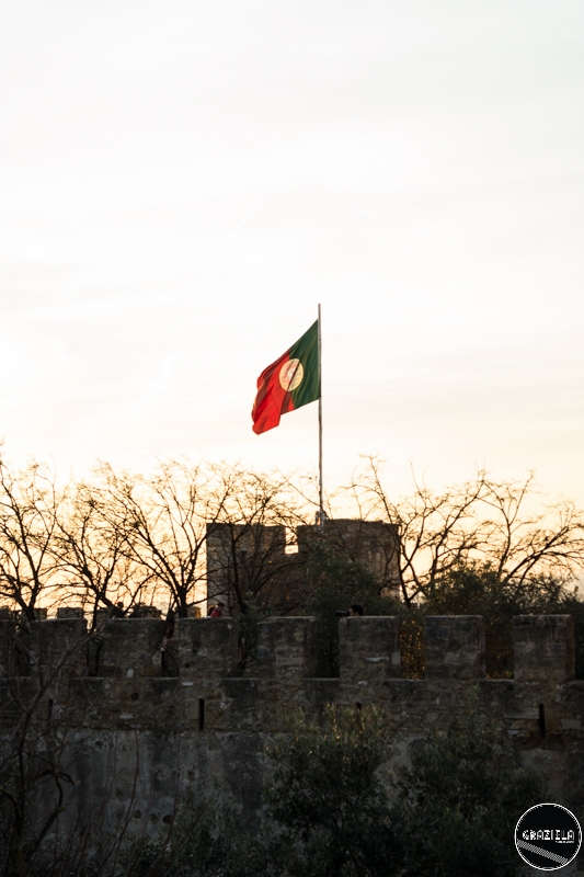 Castelo_pequenas-15.jpg Castelo_pequenas-15.jpg