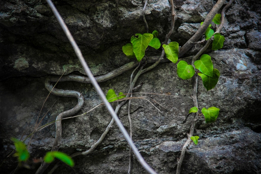 cascatas de mourao c 2