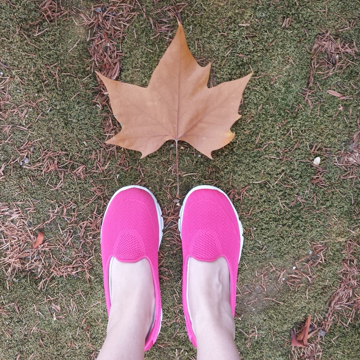 IMG_20150901_092710.jpg IMG_20150901_092710.jpg