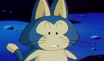 puar.jpg
