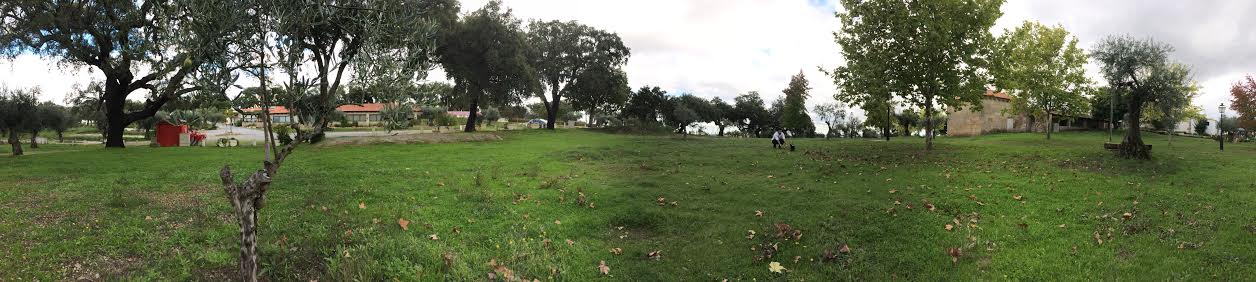 unnamed.jpg unnamed.jpg