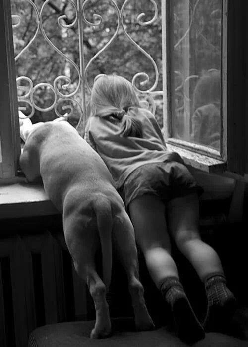 11156381_667659640035466_7927059273633787764_n.jpg 11156381_667659640035466_7927059273633787764_n.jpg