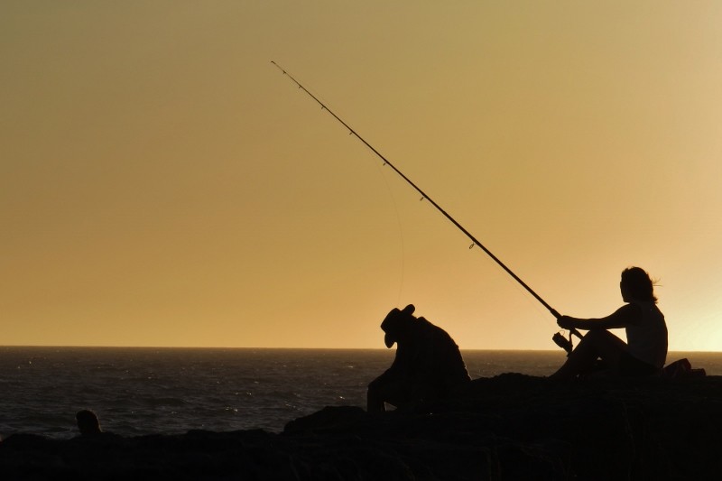 hilarys harbour 4 (800x533)