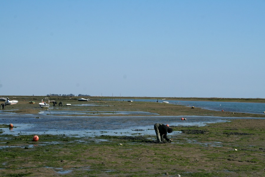 Algarve11 by HContadas.jpg