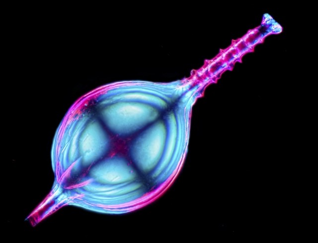 ???????????????????????