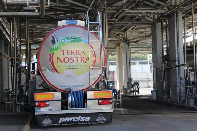 terra nostra + bel portugal + leite de pastagem + programa vacas felizes + leite dos açores + Açores + arquipélago + Visit açores + turismo portugal