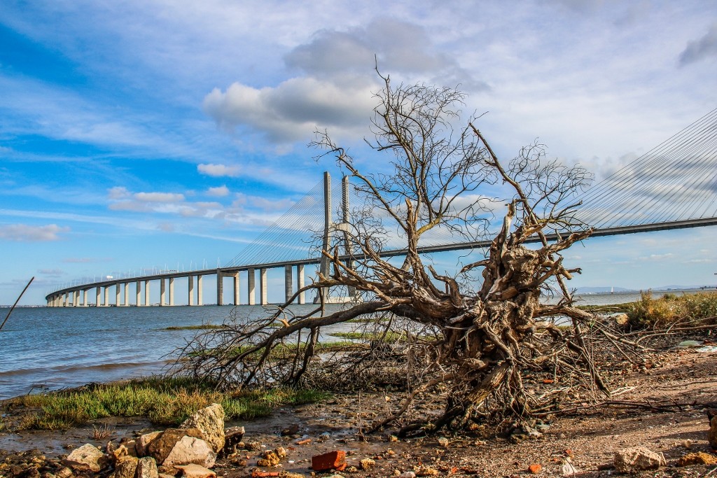 ponte vasco da gama 3