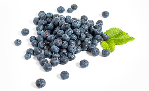 mirtilos.jpg mirtilos.jpg