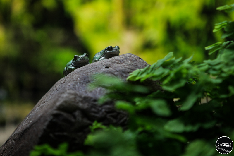 IMG_4729-23.jpg IMG_4729-23.jpg