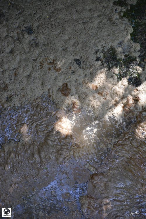 _D702696.JPG