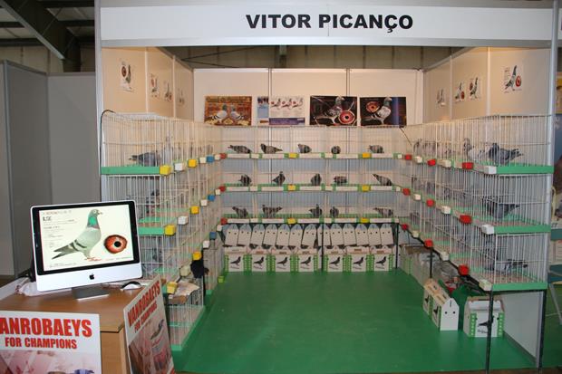Stand Picanço.jpg