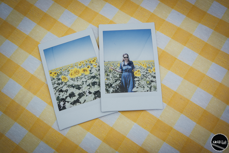 Julho-35.JPG Julho-35.JPG