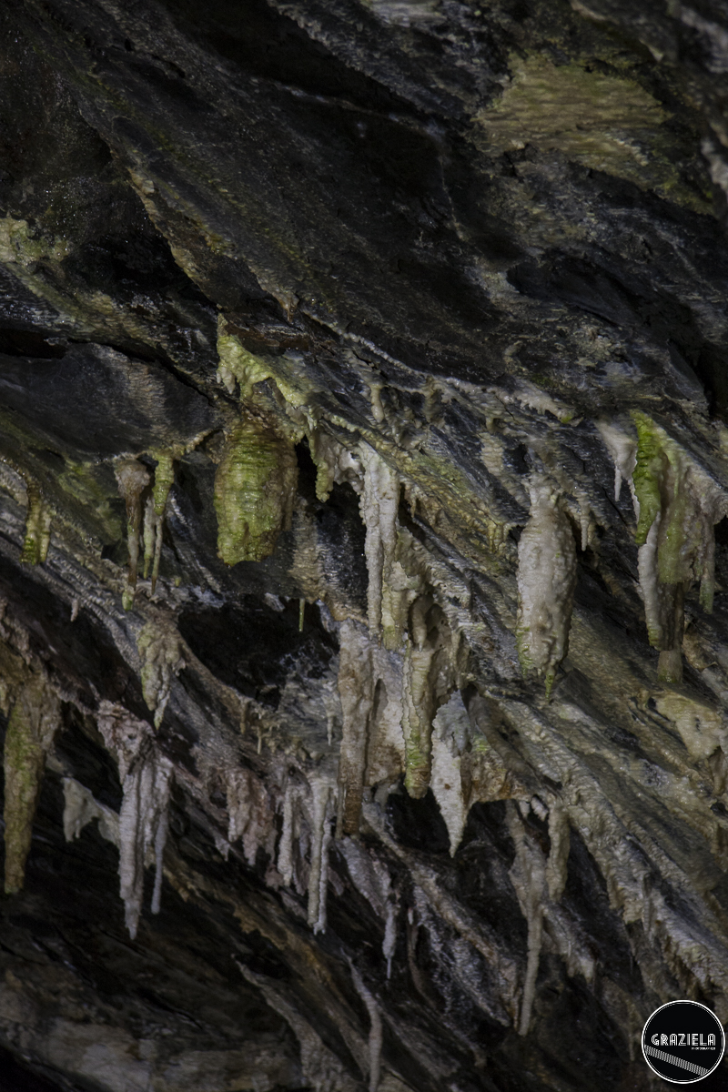 Terceira_2015_Pequenas-39.JPG Terceira_2015_Pequenas-39.JPG