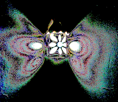 borboleta feita de luz