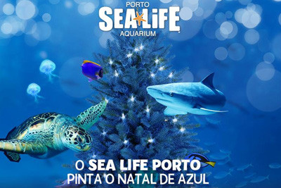 Ateliers de Natal no SEA LIFE Porto