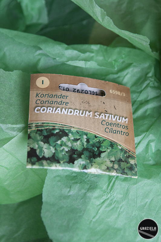 _MG_5820a.jpg _MG_5820a.jpg