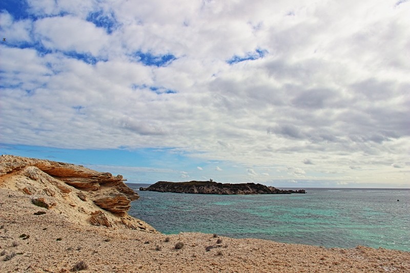 hamelin bay 5 (800x533)